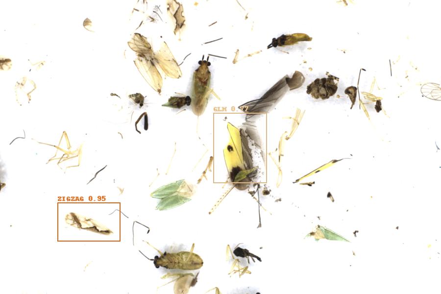 Image 38